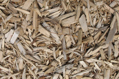 biomass boilers Caergeiliog